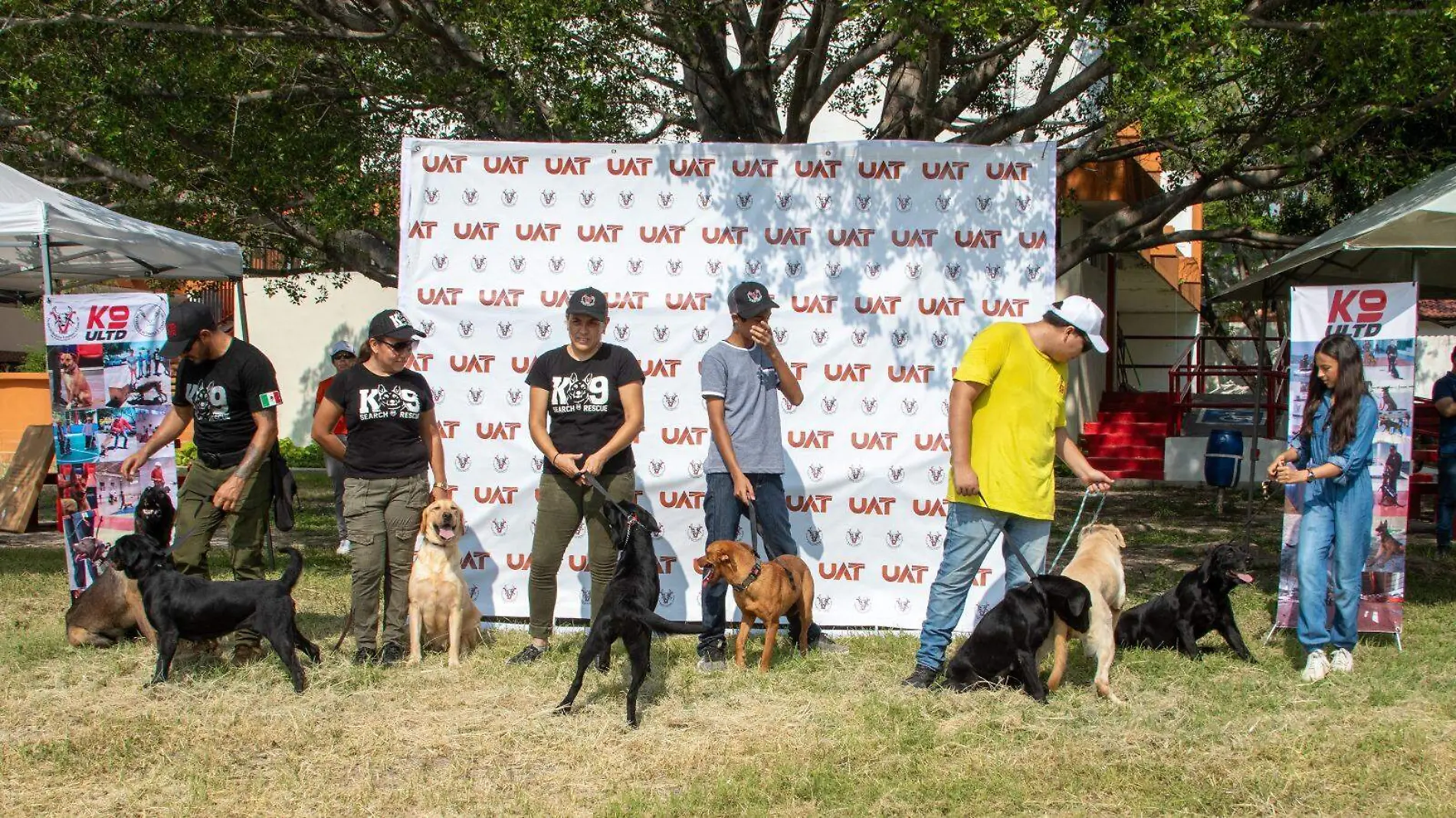 Si estás interesado en adoptar un perrito, esto te puede interesar 